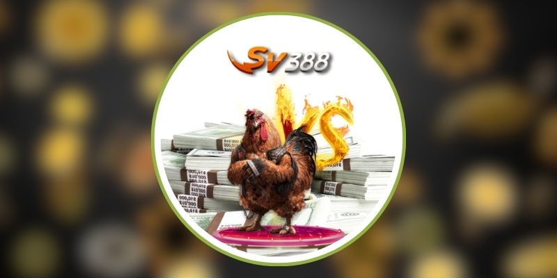 sv388 54